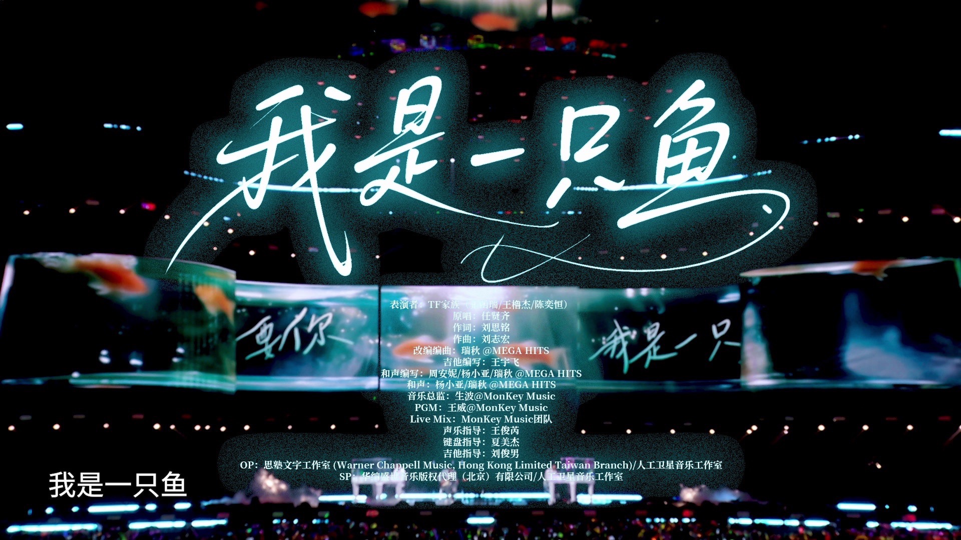 《我是一只鱼》